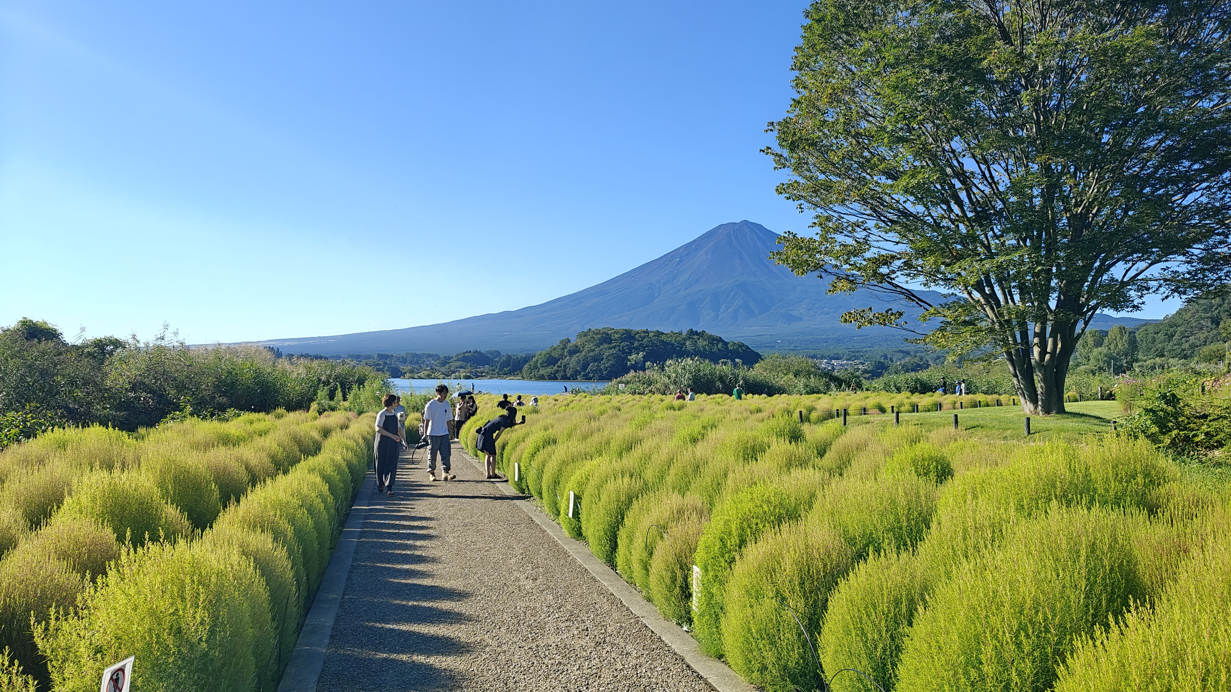 9月日14の富士山