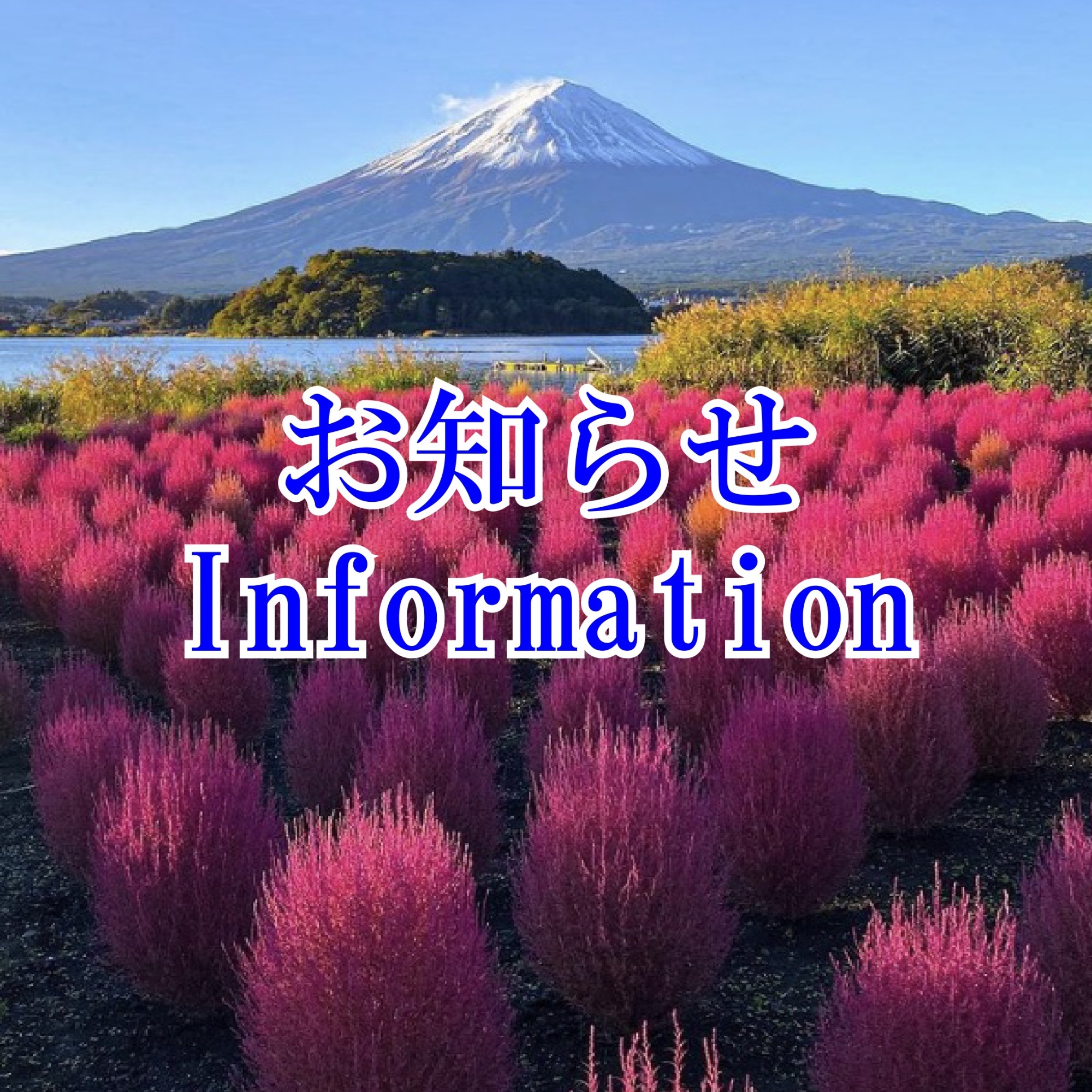 お知らせ