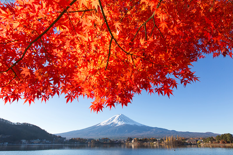 18富士河口湖紅葉まつり 富士河口湖観光チャンネル
