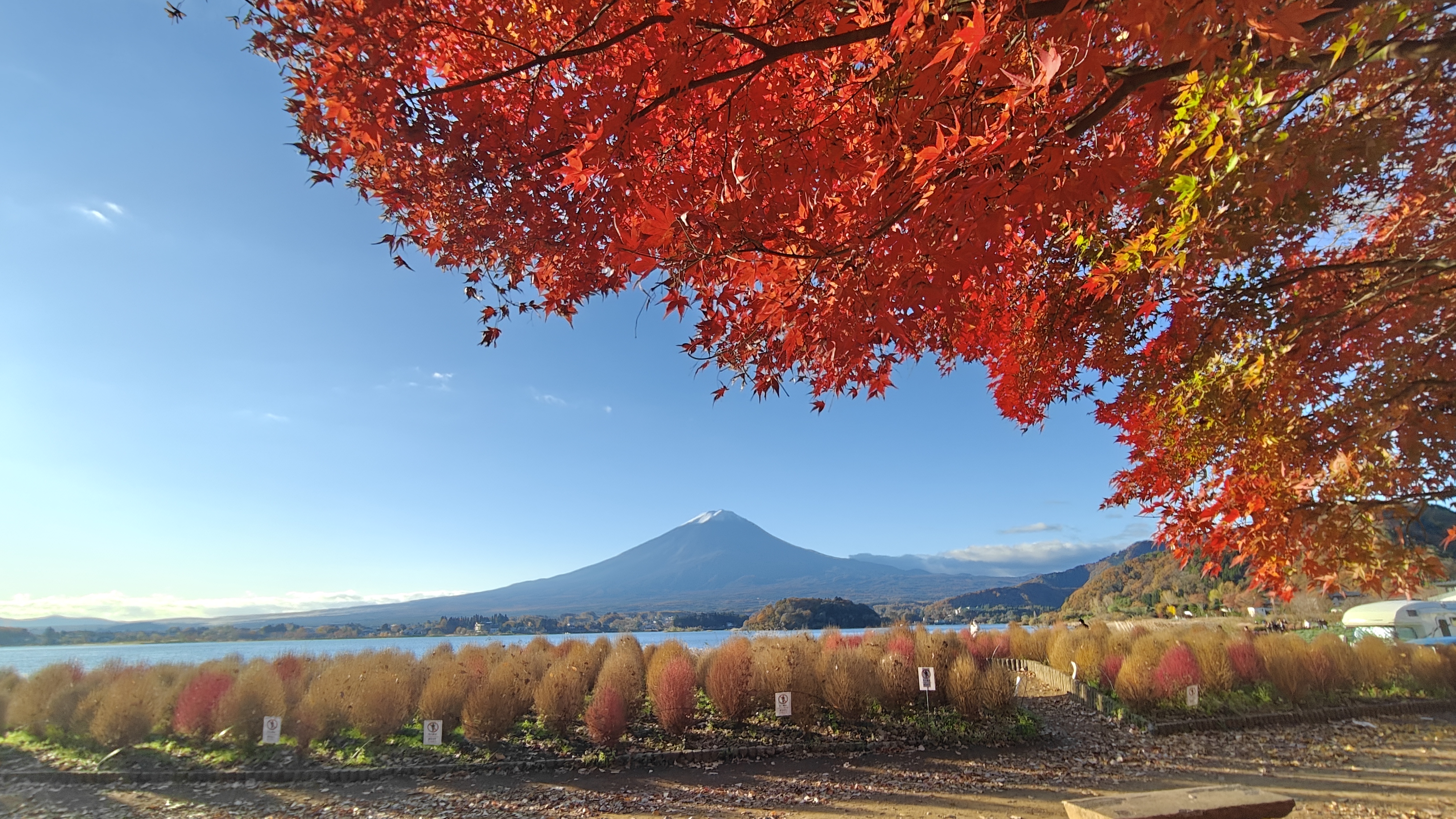 11月19日の富士山