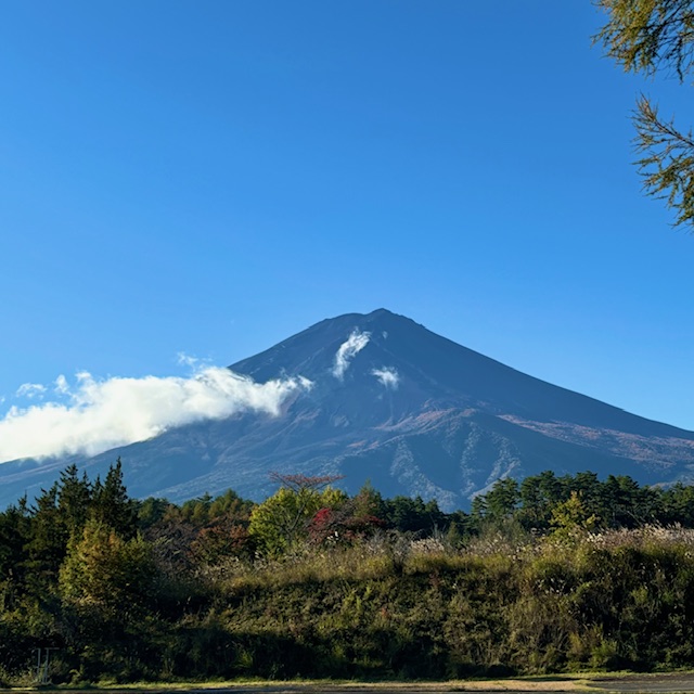 11月の営業のお知らせ